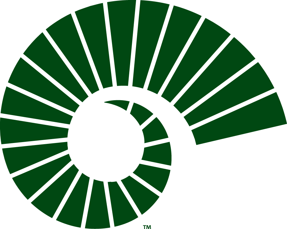 Colorado State Rams 2015-Pres Alternate Logo v2 iron on transfers for clothing